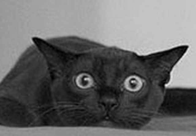 mojabudowa.pl - blog budowlany